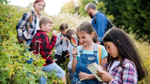 Schülerinnen und Schüler lernen in der Natur. 
